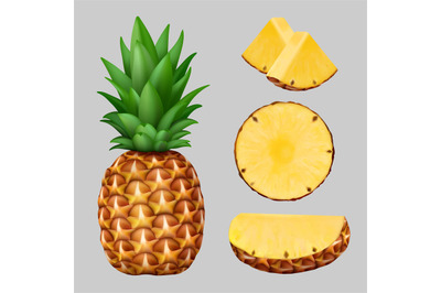 Pineapple realistic. Healthy exotic tropical natural fruit slice pinea