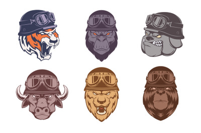 Animals bikers. Wild aggressive animals heads in helmets sport riders