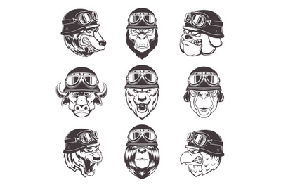 Motorbike club labels. Sport emblems with wild animals in helmets aggr