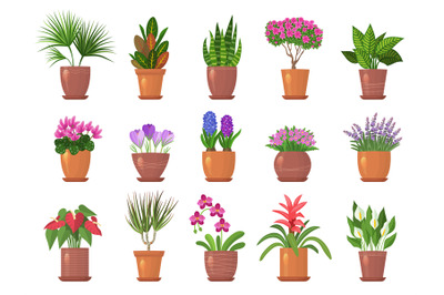 Flowers pots. Colored nature collections of leaves and flowers for int