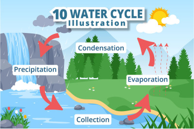 10 Water Cycle Earth Illustration