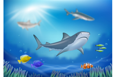 Underwater background. With fishes swimming underwater in ocean or sea