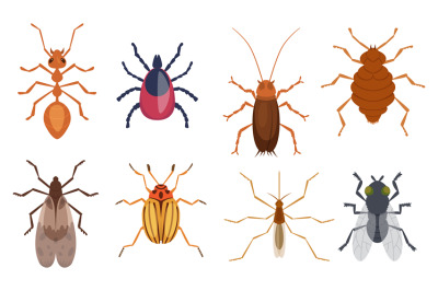 Harmful insects. Pests ants centipedes roaches bugs sprayers exact vec