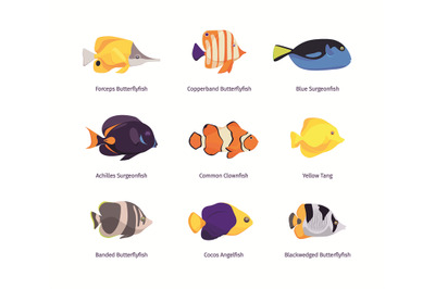 Tropical fishes. Exotic underwater wildlife with small colored fishes