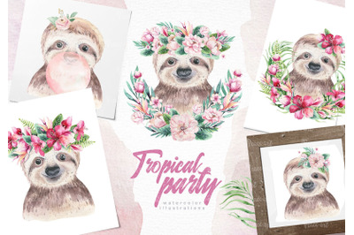 Watercolor baby nursery tropical sloth animals clipart PNG