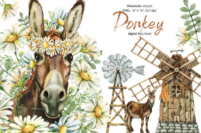 Donkey and windmill clipart, watercolor sublimation, windpump, chamomi