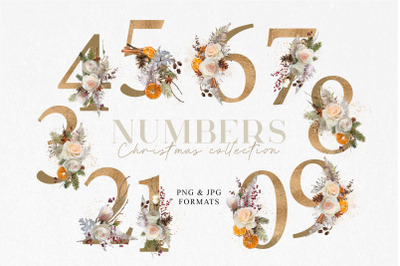 Floral Individual Numbers Christmas Text Elements Png