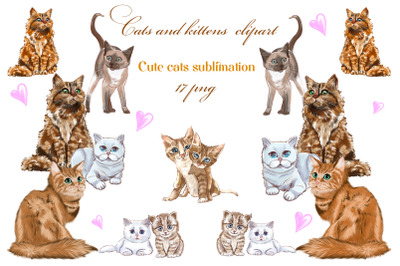Cute Kittens Clipart. Cat sublimation