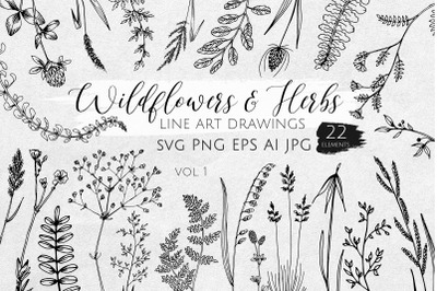 Wildflowers &amp; Herbs. Line art
