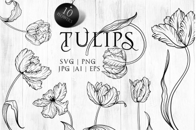 Tulips Line art SVG