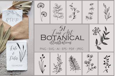 51 Line Art Botanical Illustrations SVG