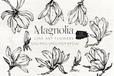 Magnolia Flowers Line art SVG
