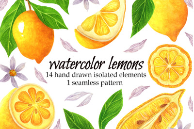 Watercolor lemon clipart, summer tropical fruit PNG