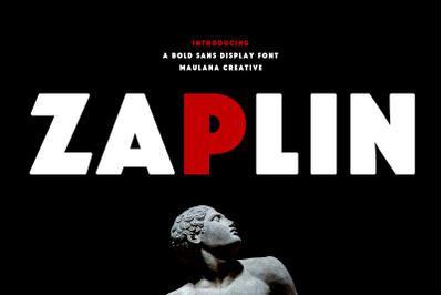 Zaplin Display Font