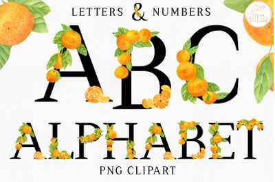 Tangerine Alphabet Clipart. Watercolor Citrus Fruit Letters &amp; Numbers