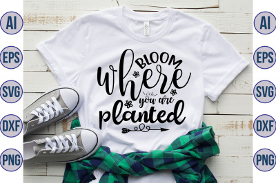 Bloom where you are planted svg