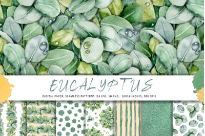 Green eucalyptus leaves, white mistletoe berries, digital paper, seaml