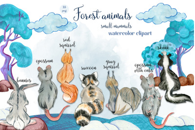 Animal watercolor clipart. Back of small mammals