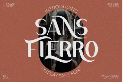 Sans Fierro - Display Sans Font