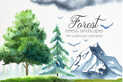 Forest. Watercolor illustrations