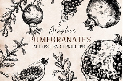 Pomegranates Line art vector drawing