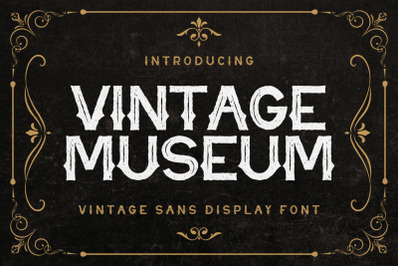 Vintage Museum - Vintage Sans Display Font
