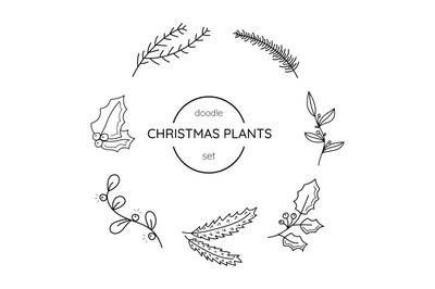 set  christmas plantschristmas plants  in doodle style&nbsp;