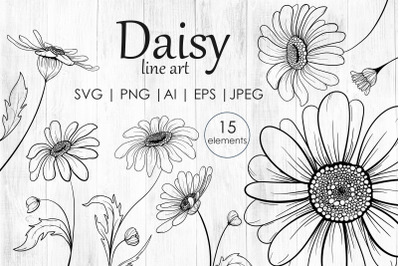 Daisy flowers line art SVG