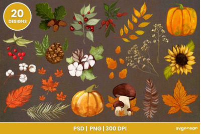 Fall Sublimation Bundle | Autumn Floral | Clipart