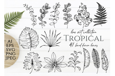 Tropical leaves. Ink illustration