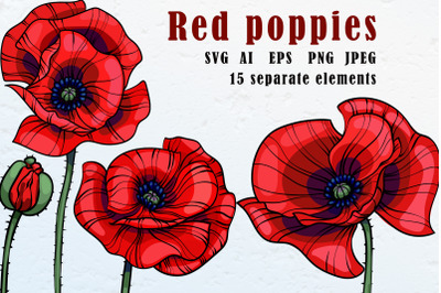 Red poppies clipart