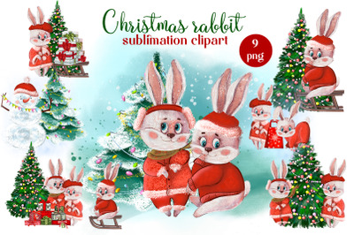 Christmas rabbit sublimation clipart. Winter watercolor hare