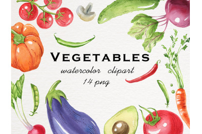 Vegetables Watercolor Illustration