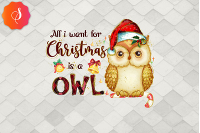 All I Want For Christmas Is A Owl