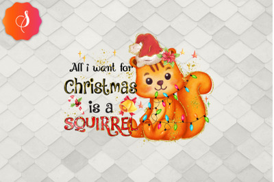 All I Want For Christmas Is Squirrel