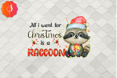 All I Want For Christmas Is A Raccoon