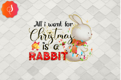 All I Want For Christmas Is Rabbit