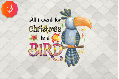 All I Want For Christmas Is A Bird