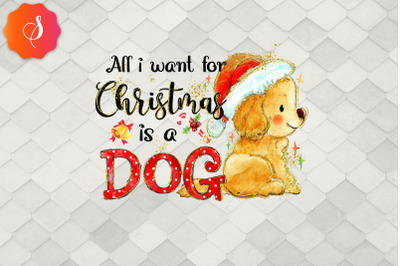 All I Want For Christmas Is A Dog