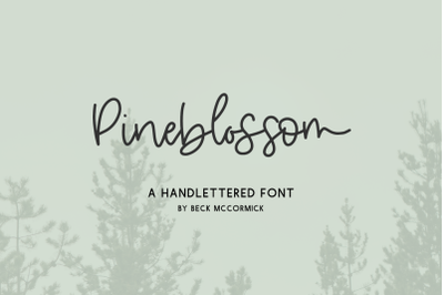 Pineblossom Script