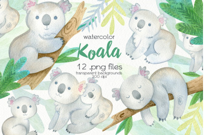 Watercolor Koala Clipart  - PNG Files