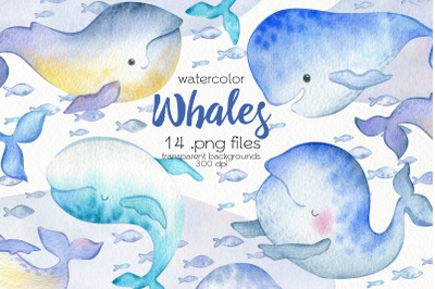 Watercolor Whales Clipart - PNG Files