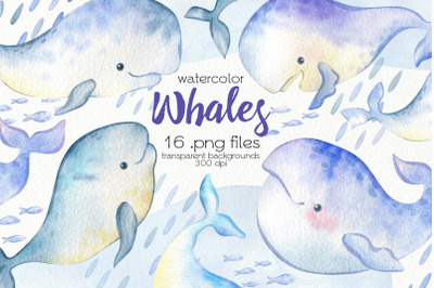 Watercolor Whales Clipart - PNG Files