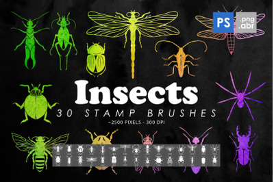 30 Insects &amp; Bugs Photoshop Stamp Brushes