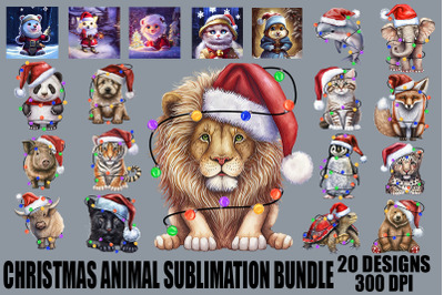 Xmas Animal Bundle-20 Designs-221113