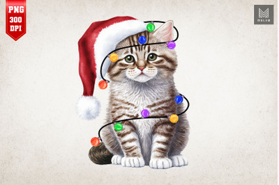 Cute Cat Kitten In Santa Hat Christmas