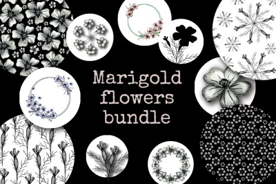 Hand-drawn Marigold Flower Big Bundle