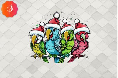 Merry Christmas Parrot Squad