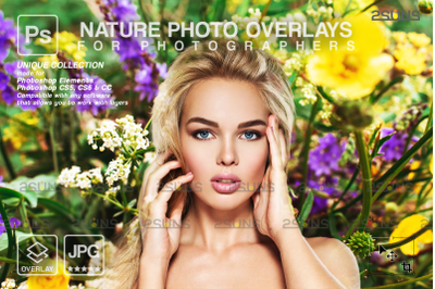 Digital flower backdrop, Flower overlay, Photoshop overlay
