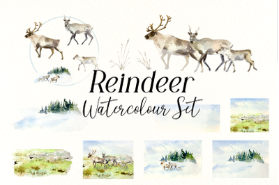 Watercolor Reindeer Life Cycle and Clip Arts